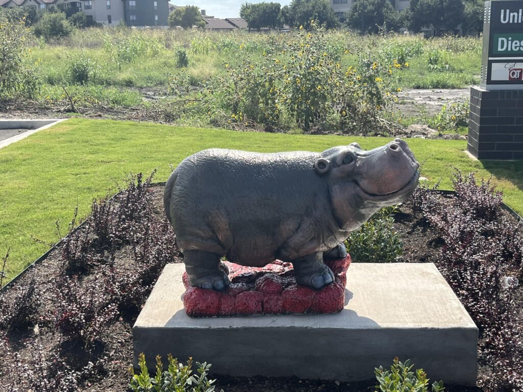 Hippo mania is back in Hutto